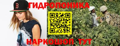 Альфа ПВП Краснознаменск