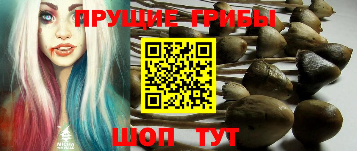 Галлюциногенные грибы MAGIC MUSHROOMS  Псилоцибиновые грибы Cubensis  Вход с VPN  Волгодонск 