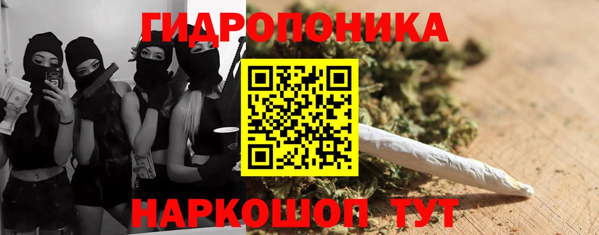 Каннабис планчик Волгодонск